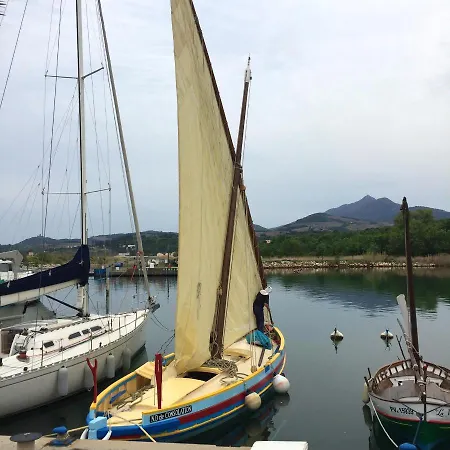 Appartement Cosy à Argelès-sur-mer 30 M² Avec Piscine Partagée