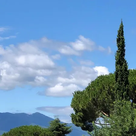 Appartement Cosy à Argelès-sur-mer 30 M² Avec Piscine Partagée Argelès-sur-Mer