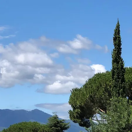 Appartement Cosy à Argelès-sur-mer 30 M² Avec Piscine Partagée *